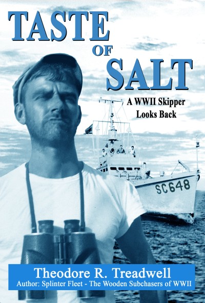 Taste of Salt cover